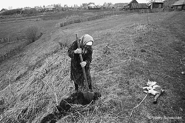 Ульяновская область. Похороны кота. 1997