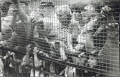 Люди в зоопарке. Калининград. 1965