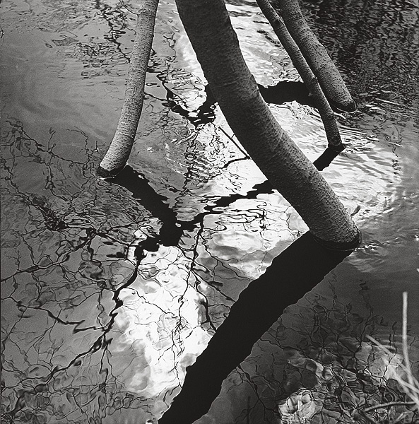 Большая вода. Начало 1980-х