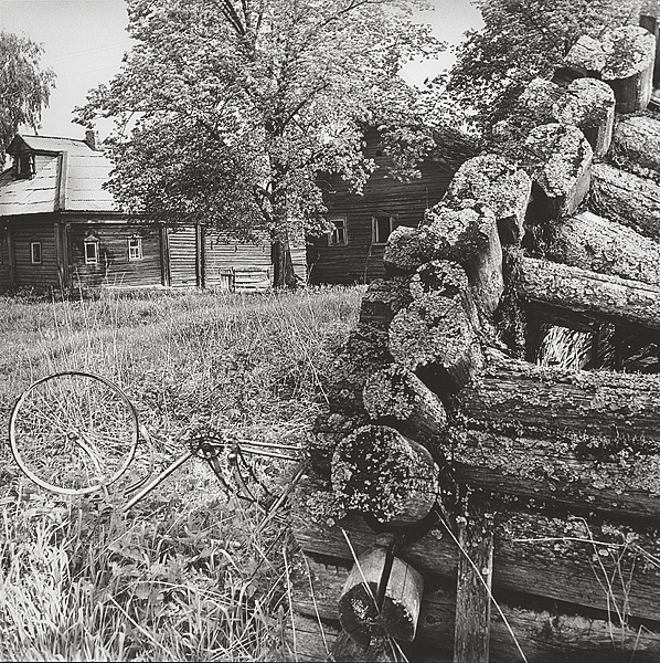 Из цикла Покинутая деревня. 1981
