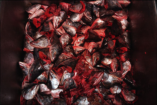 Астрахань. 2000