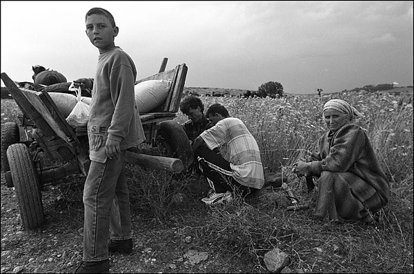 Крестьяне, Чувашия. 2001