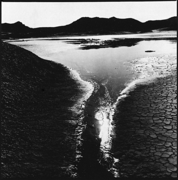 Снимок 10 из выставки «Тропинки ассоциаций»
