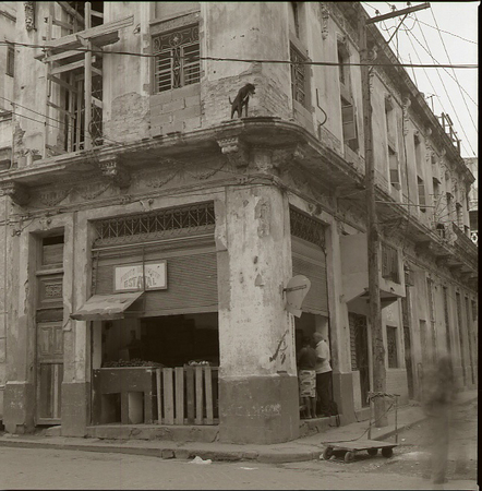 05-06.jpg