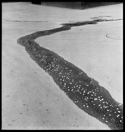 Харьков. 1977