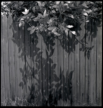 Малаховка. 1979