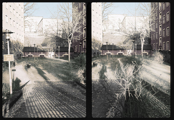 stereo_typ (Осень)
