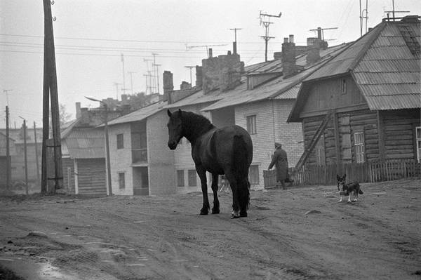 Из серии "Остров Соловки". 1984