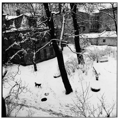 Заснеженный двор. 1995