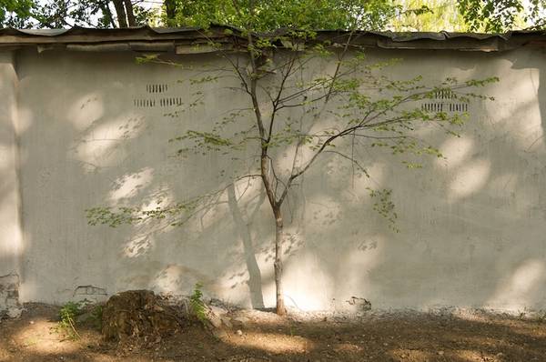 Роман Гущин. 2010