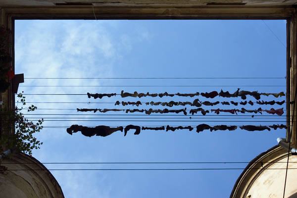 Дмитрий Музалев. Львов. Сентябрь 2009 г.
