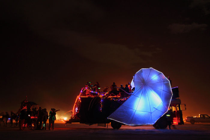 Снимок 10 из выставки «Burning Man»