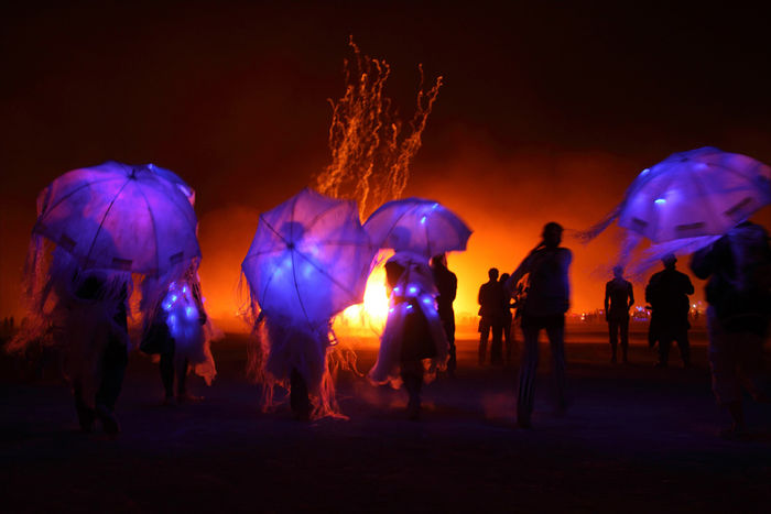 Снимок 2 из выставки «Burning Man»