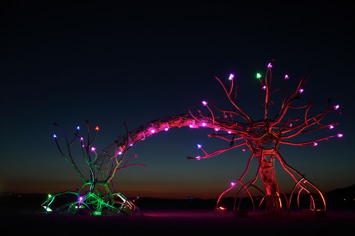 Снимок 3 из выставки «Burning Man»