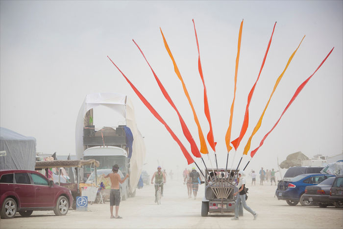 Снимок 56 из выставки «Burning Man»