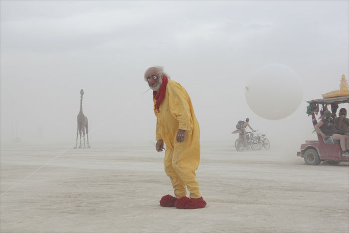 Снимок 57 из выставки «Burning Man»