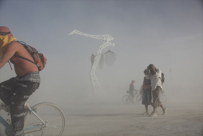 Снимок 58 из выставки «Burning Man»