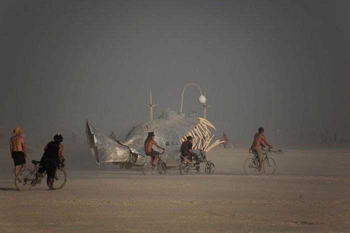 Снимок 59 из выставки «Burning Man»
