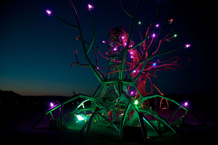 Снимок 9 из выставки «Burning Man»