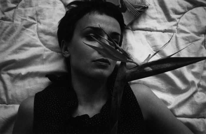Снимок 11 из выставки «Масленица Александра Масленицына»