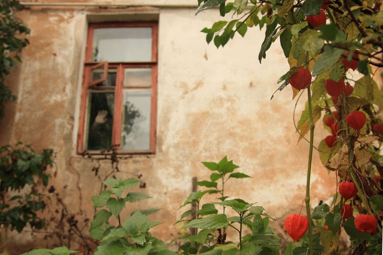 Обложка выставки «Сердце матери»