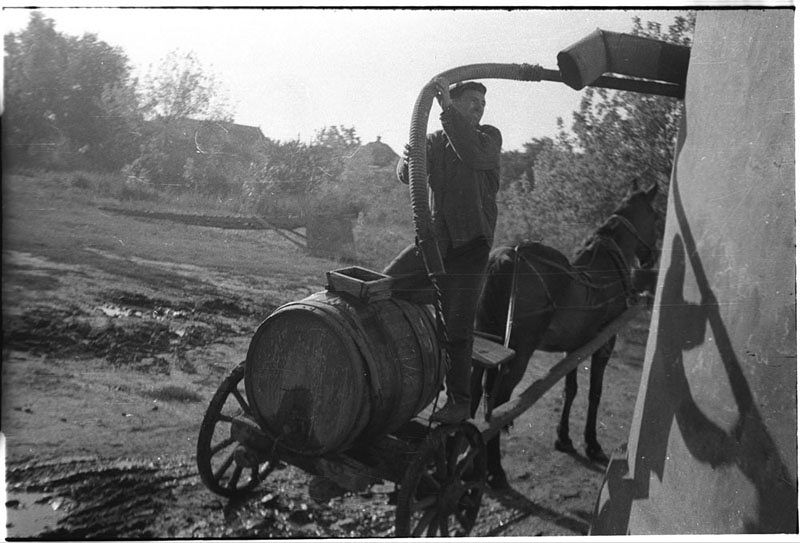 Украина, Днепропетровская область. 1953