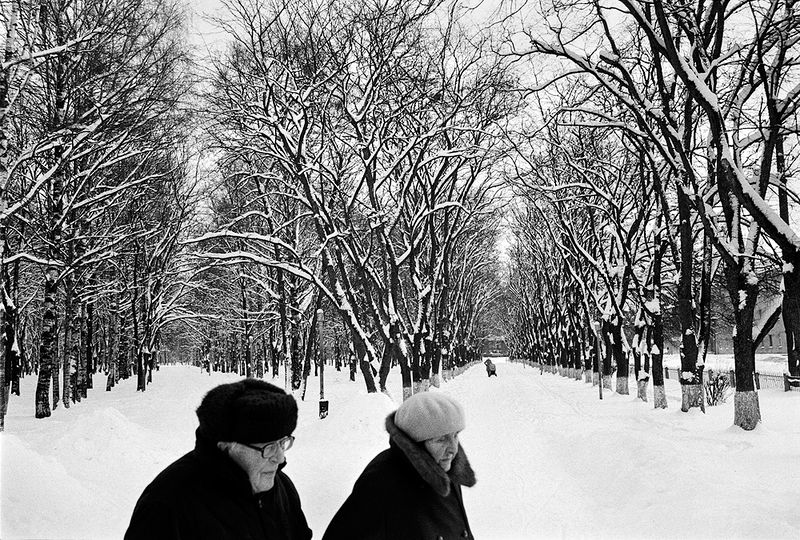Парк Ветеранов. Вологда. 2010