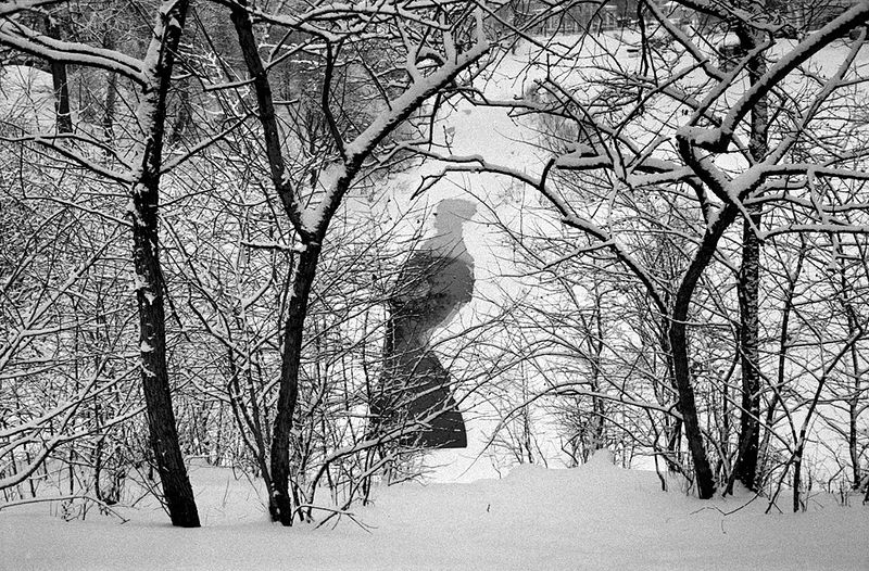 Полынья. Вологда. 2013
