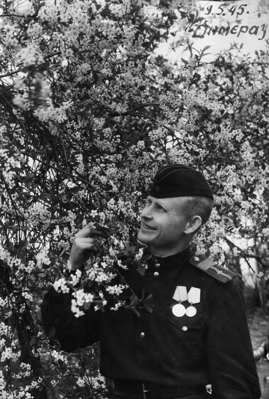 Старшина Коновалов встречает 9-е мая 1945-го. Дамерау. 1945. Бумага, черно-белая фотопечать. 30 х 20 см